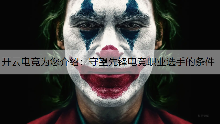 开云电竞为您介绍：守望先锋电竞职业选手的条件