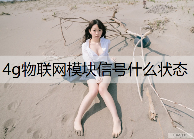4g物联网模块信号什么状态