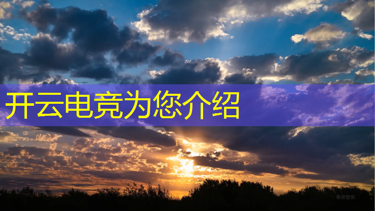 开云电竞为您介绍：联盟电竞头像插画是谁的