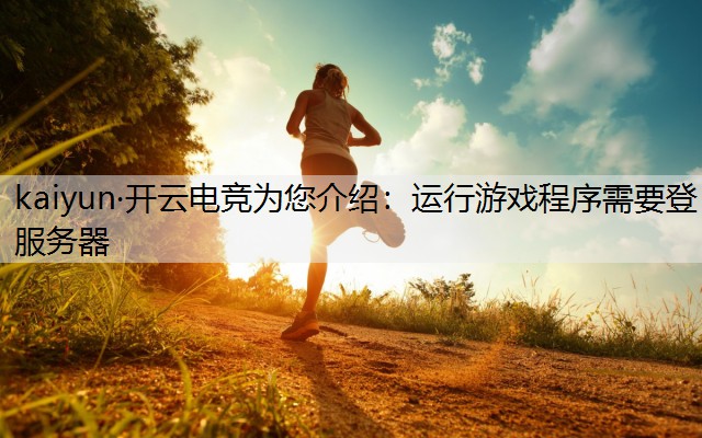 运行游戏程序需要登服务器